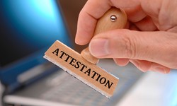 Elevate Your Business with QSBS Attestation Letter Online!