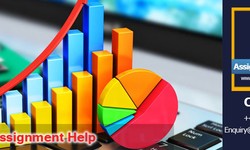 The Most Reliable Statistics Assignment Help in the UK