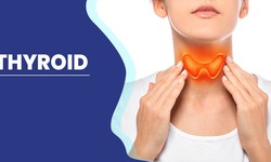 What is Thyroid? and the main cause of Thyroid Problems: Dr. Priti Nanda