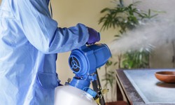 Comparing Disinfectant Fogger Technologies: Which One is Right for You
