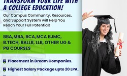 Climb the Corporate Ladder with the Best Management Colleges in Noida