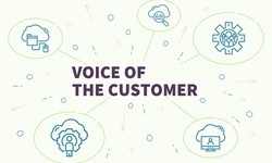Empathy in Insight: Nurturing Customer Connections with Voice of Customer Analysis Tools