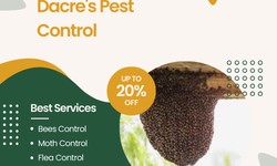 Residential Pest Control: Safeguarding Your Family's Health