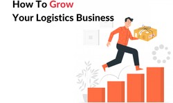 How Logistics Service Providers Can Help Your Business Grow?