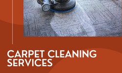 Say Goodbye to Stains: Professional Carpet Cleaning Solutions