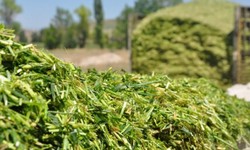 Investing in AgTech: The Silage Additive Boom