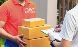 Birmingham's Delivery Dynamo: Unleashing the Power of Courier Services