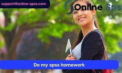 Excelling in Statistical Analysis: The Role of SPSS Homework Services