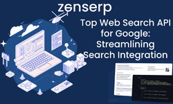 Unveiling the Power of Search APIs: A Comprehensive Look at Google News Search API and Bing Trends API