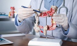 Clarksville Gastroenterologist Spotlight: Understanding Digestive Health