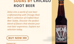 From Kegs to Bottles: The Evolution of Chicago's Root Beer Distribution Network in the USA