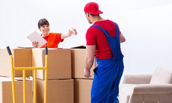 6 interesting points While Picking a Removalist