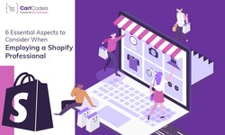 6 Essential Aspects to Consider When Employing a Shopify Professional
