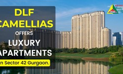 DLF Camellias offers Luxury Apartments in Sector 42 Gurgaon