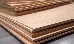 Prefeasibility Report on a Plywood Manufacturing Unit, Industry Trends and Cost Analysis