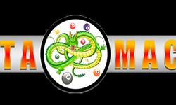 The Dynamics of Toto Macau: A Player's Guide to Pengeluaran Toto Macau