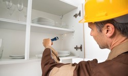 How Professional Pest Inspection Can Save You Time and Money?