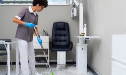 Nature's Touch: Embracing Eco-Friendly Cleaning in Kensington