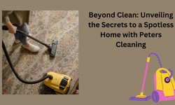 Beyond Clean: Unveiling the Secrets to a Spotless Home with Peters Cleaning