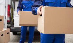 Unlocking the Pinnacle of Delivery Excellence with Swift Surrey Couriers