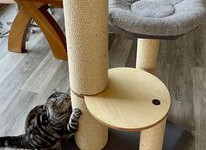Elevate Your Cat's World: The Charm of Tall Cat Scratching Posts Online in the UK