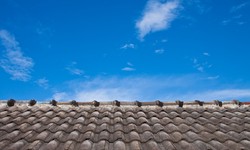 The Art of Roofing: Mastering the Craft for Lasting Impressions