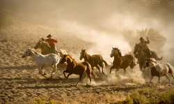 Horse Properties Help in Horse Farming and Other Activities