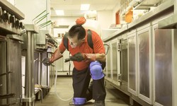 Fresh and Secure: Kreshco Pest Control's Specialized Approach to Food Store Pest Management