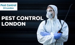 Managing Pest Control in London: Guardians of Clean Spaces