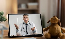 Doctor on Demand: The Future Of Booking Medical Consultations Online