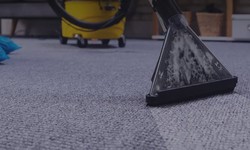 Reviving Elegance: The Art of Carpet Cleaning Near Me