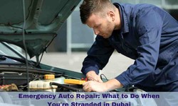 Emergency Auto Repair: What to Do When You're Stranded in Dubai