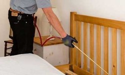 Effective Bed Bug Control Solutions by Techsquadteam in Bangalore