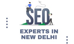 Leads & Sales on Demand: SEO Expert In Delhi