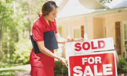 Crafting Dreams: Navigating the Realm of a Real Estate Agent