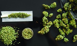 Boston's Premier Cannabis Dispensary: Redi Dispensary