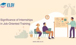 What is the Importance of Internships for Your Job-Oriented Training Courses?