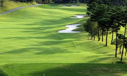 Discover the Pinnacle: Golf Communities in Bonita Springs Unveiled