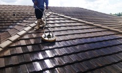 Revealing Brilliance: The Craft of Roof Cleaning