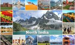 Why Choose Tours to India