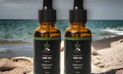 Choosing Quality CBD Oil: Your Guide to Finding the Best Products
