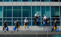 Elevating Spaces: The Essence of Building Cleaning Services