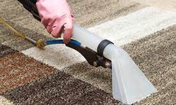 The Ultimate Guide to Removing Stubborn Stains and Odors from Your Carpet in Beckenham