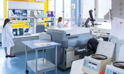 Designing Laboratories for Success: Key Aspects of Laboratory Furniture