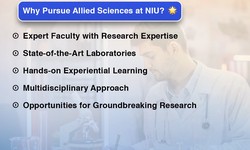 A Comprehensive Guide to Allied Science Courses at Noida International University