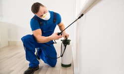 Why a Commercial Pest Inspection Might Be an Unexpected Partner?