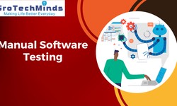Manual Software Testing