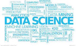 Insights of the Spectrum: The Varied Vision of Data Science