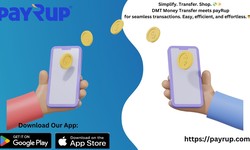 DMT Money Transfer's Dynamic Duo with payRup.