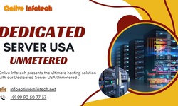 Why Dedicated Server USA Unmetered is a Must-Have to Your Web Hosting